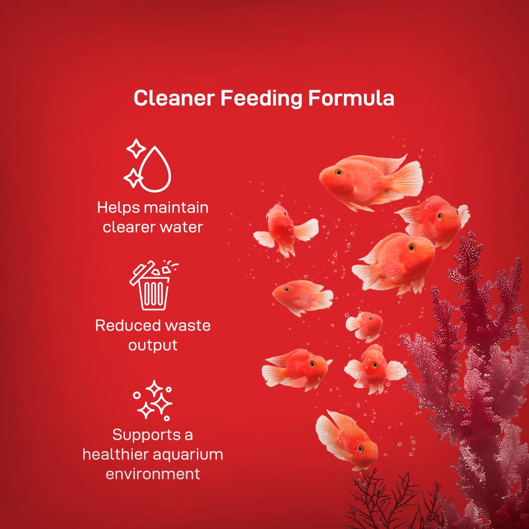 Drools Finsters Red Parrot Fish Food, 100 Gms Pouch, Colour-Focused Nutrition