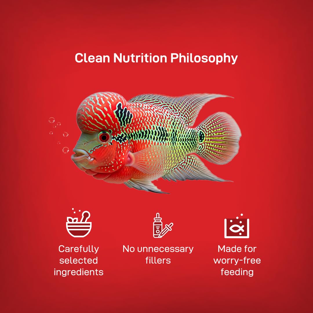 Drools Finsters Flowerhorn Colour Enhancer (M), 100 Gms