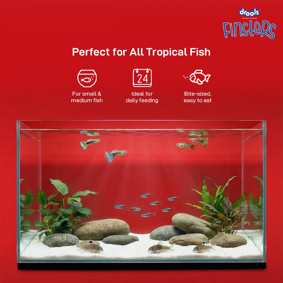 Drools Finsters Bits Fish Food, 100 Gms Pack, Seafood Flavour, High-Protein Formula