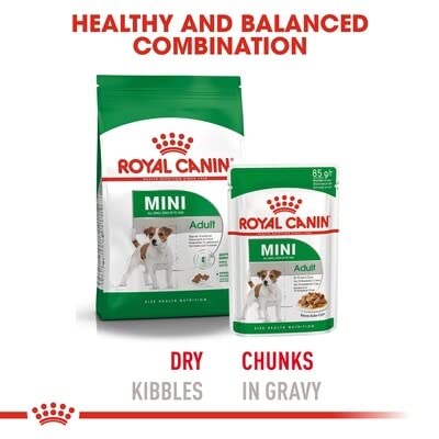Royal Canin, Mini Adult Dry Dog Food, 8 KG, Supports Weight Management