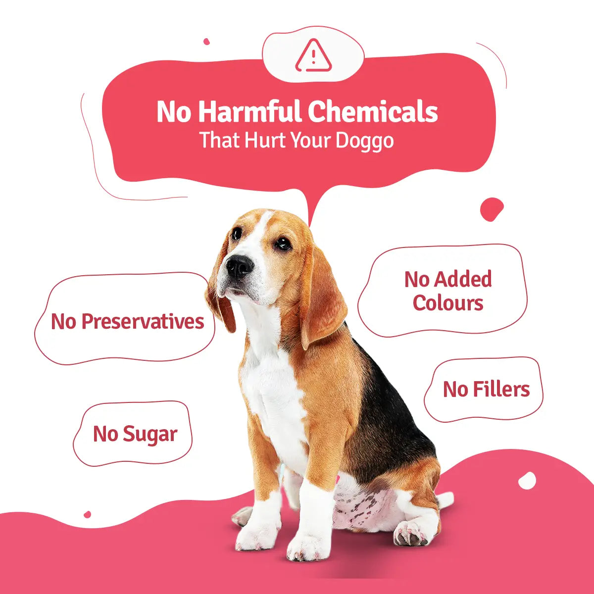 BLEP Chicken Broccoli Fresh Dog Food (100 ML) - Pack of 1