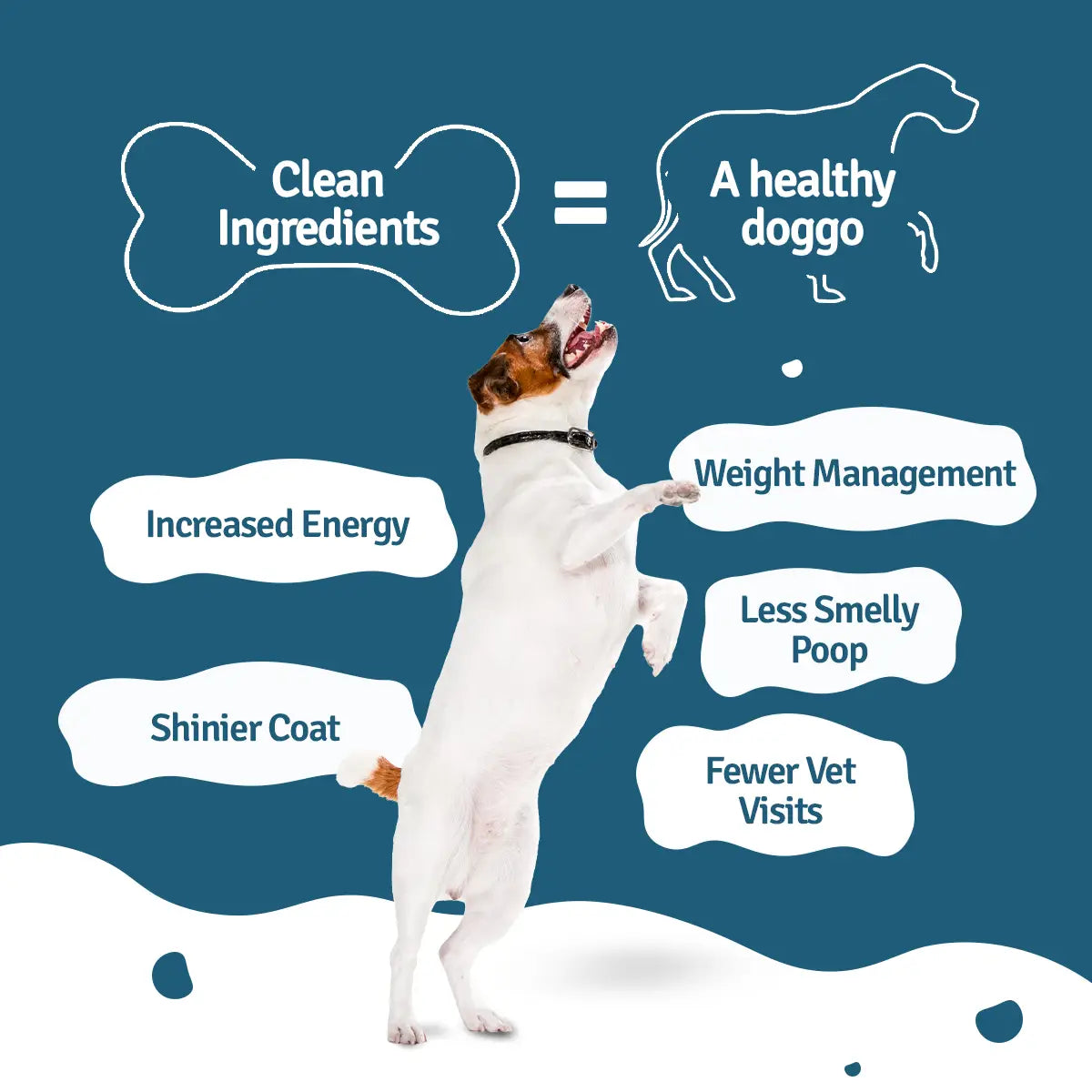 BLEP Chicken Rice Fresh Dog Food - 100 GMs - Pack of 3