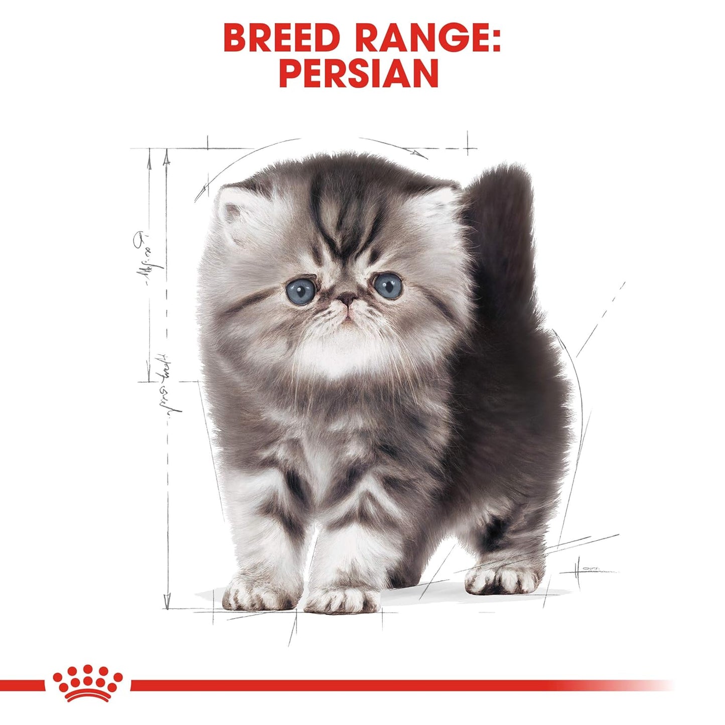 Royal Canin Persian Kitten Food, 400 Gm, Dry Food, Supports Long Hair