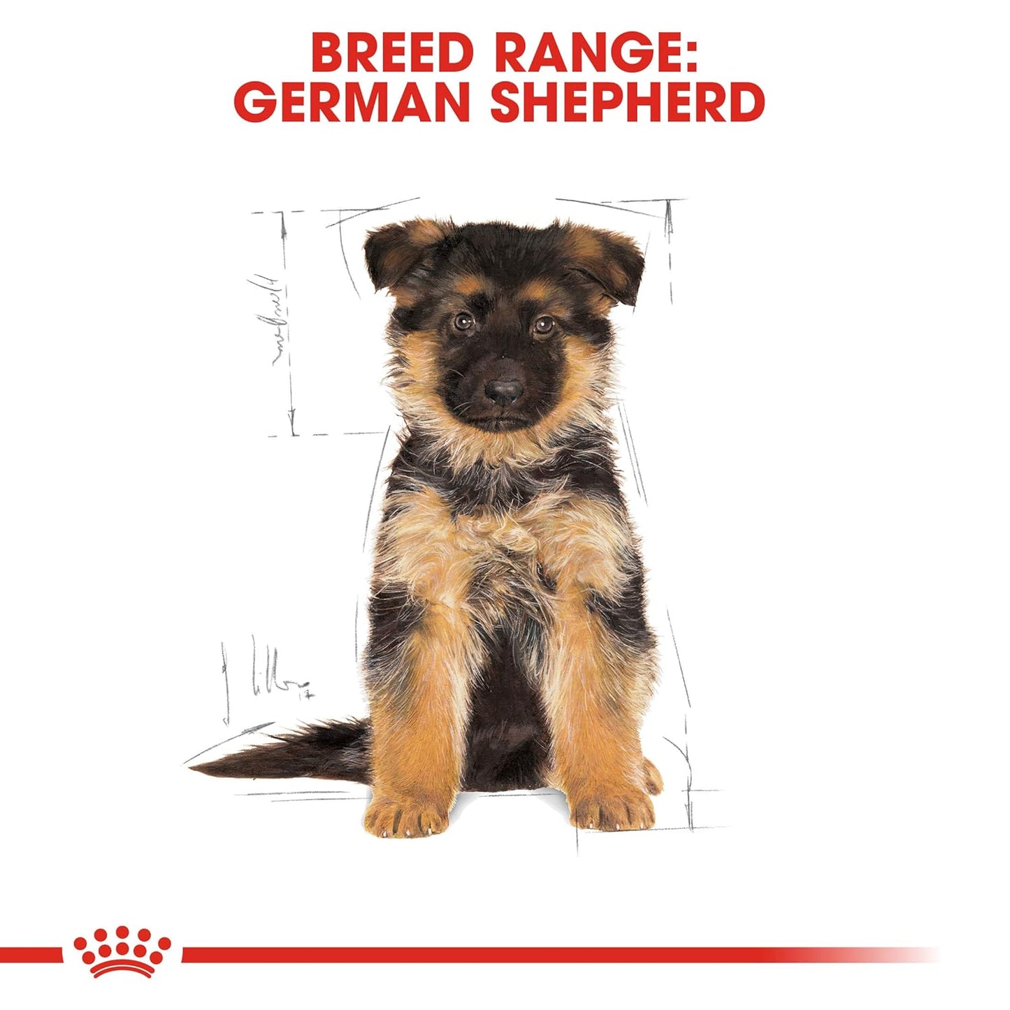 Royal Canin German Shepherd Puppy Dry Food, 1 KG Pack, Bone and Joint Health