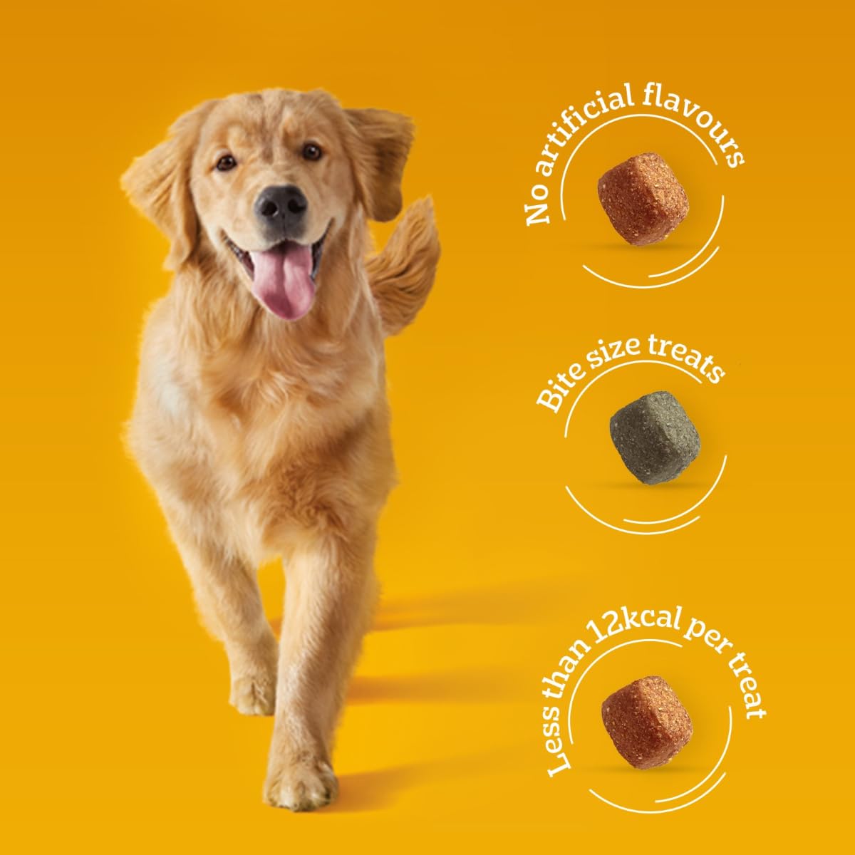 Tasty Minis Adult Dog Treats, Chicken & Duck Flavor Chunks, 130 GMs