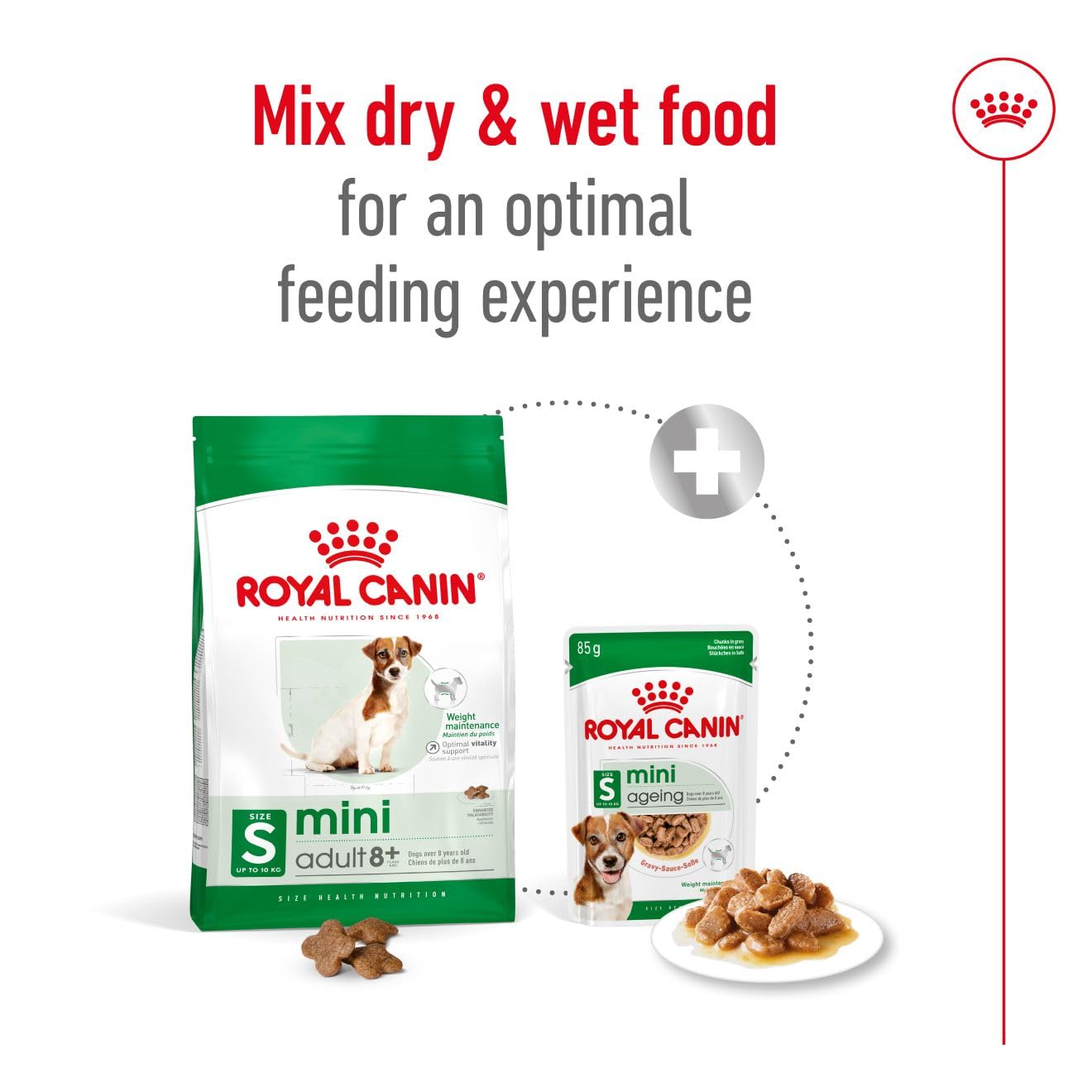 Royal Canin, Mini Adult Dry Dog Food for Senior Dogs (8+ Years), 4 kg