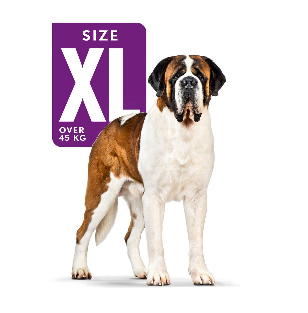 Royal Canin Giant Adult Dry Dog Food, 15 KG Pack, Supports Healthy Joint
