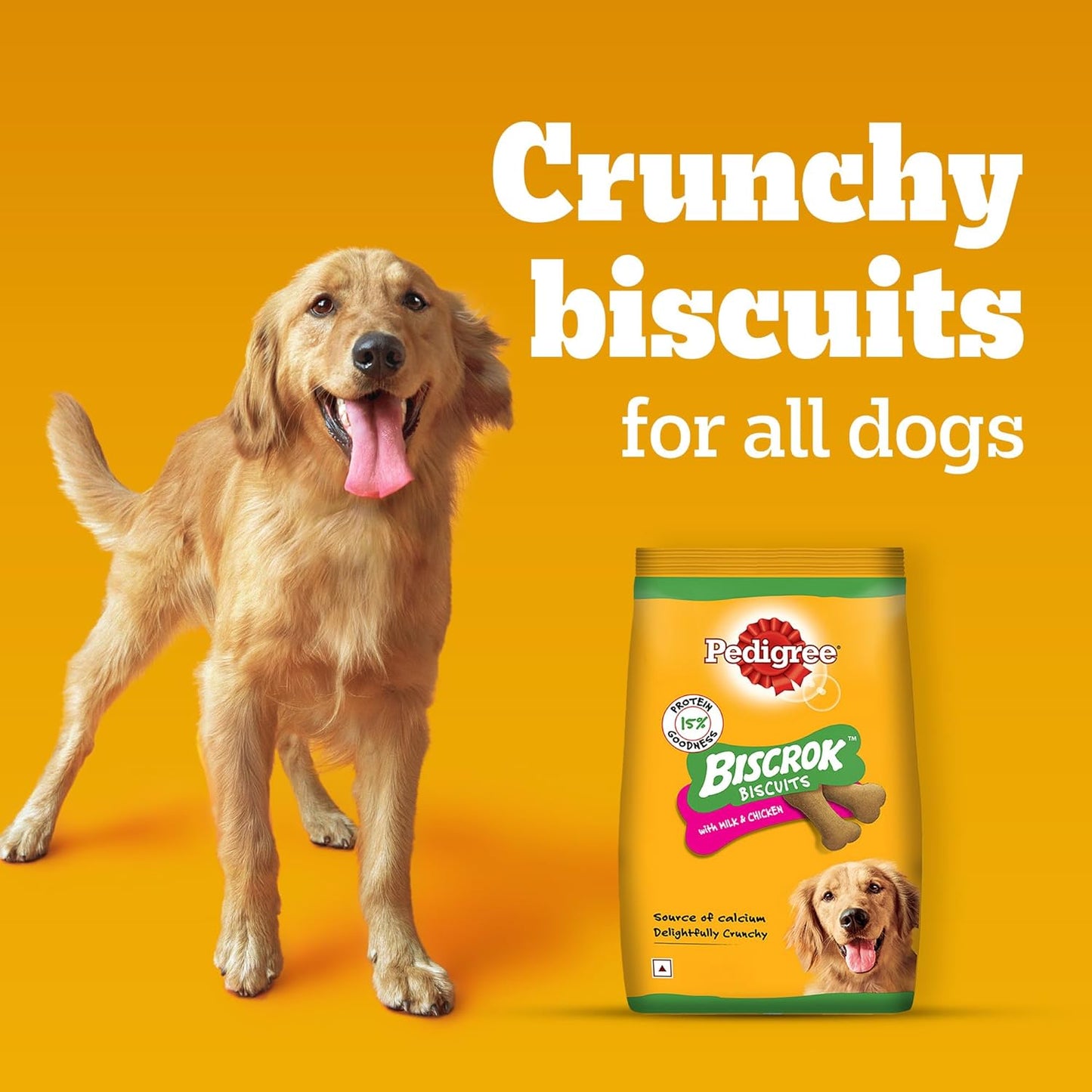 Pedigree Biscrok Biscuits - Dog Treats, Chicken with Milk Flavour, 500 GMs