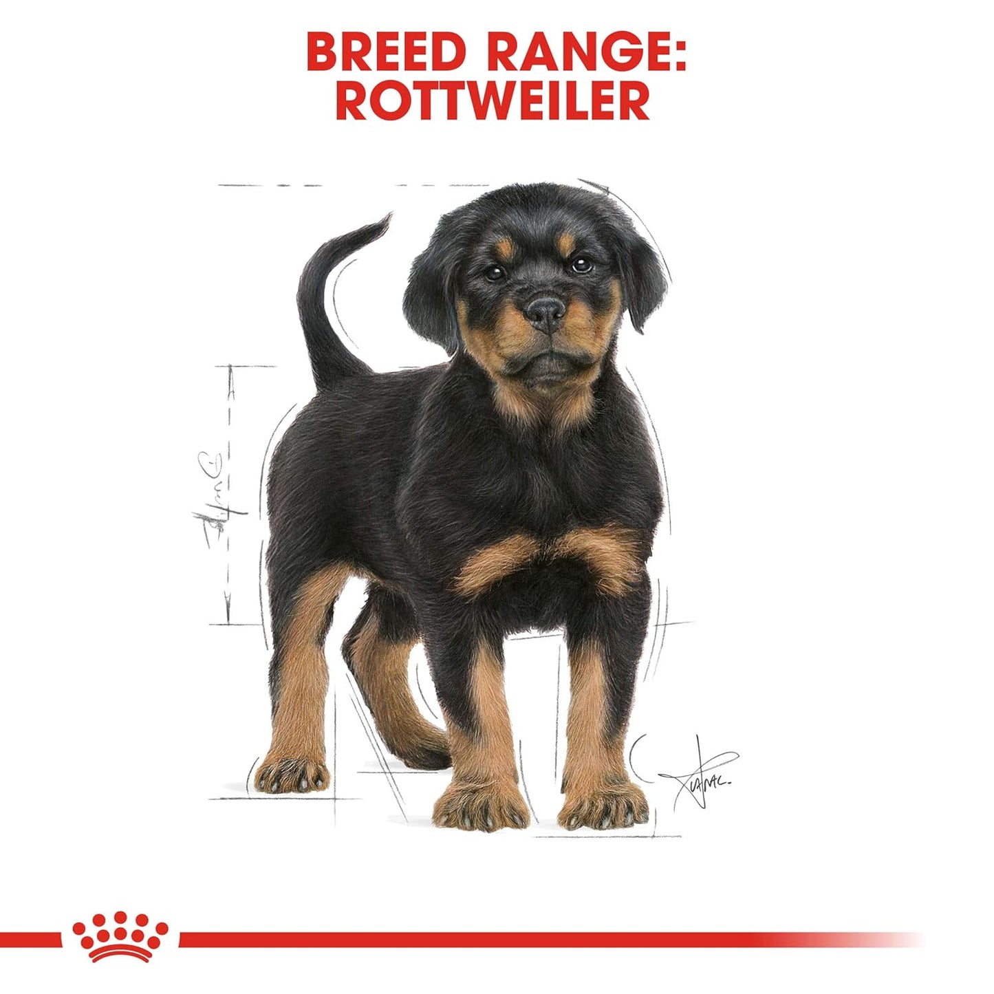 Royal Canin, Rottweiler Puppy Food, 12 Kg, Dry Food