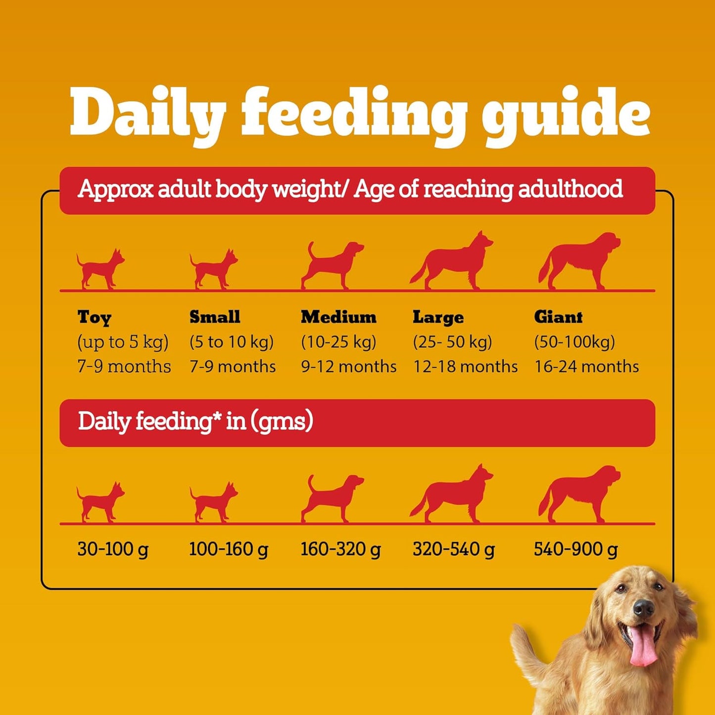 Pedigree Adult Dry Dog Food, Meat & Rice Flavour, 1 KG Pack, Contains 37 Essential Nutrients
