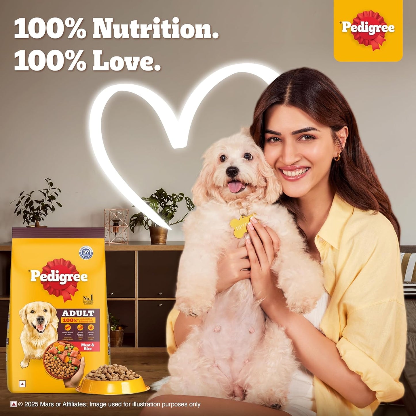 Pedigree Adult Dry Dog Food, Meat & Rice Flavour, 1 KG Pack, Contains 37 Essential Nutrients