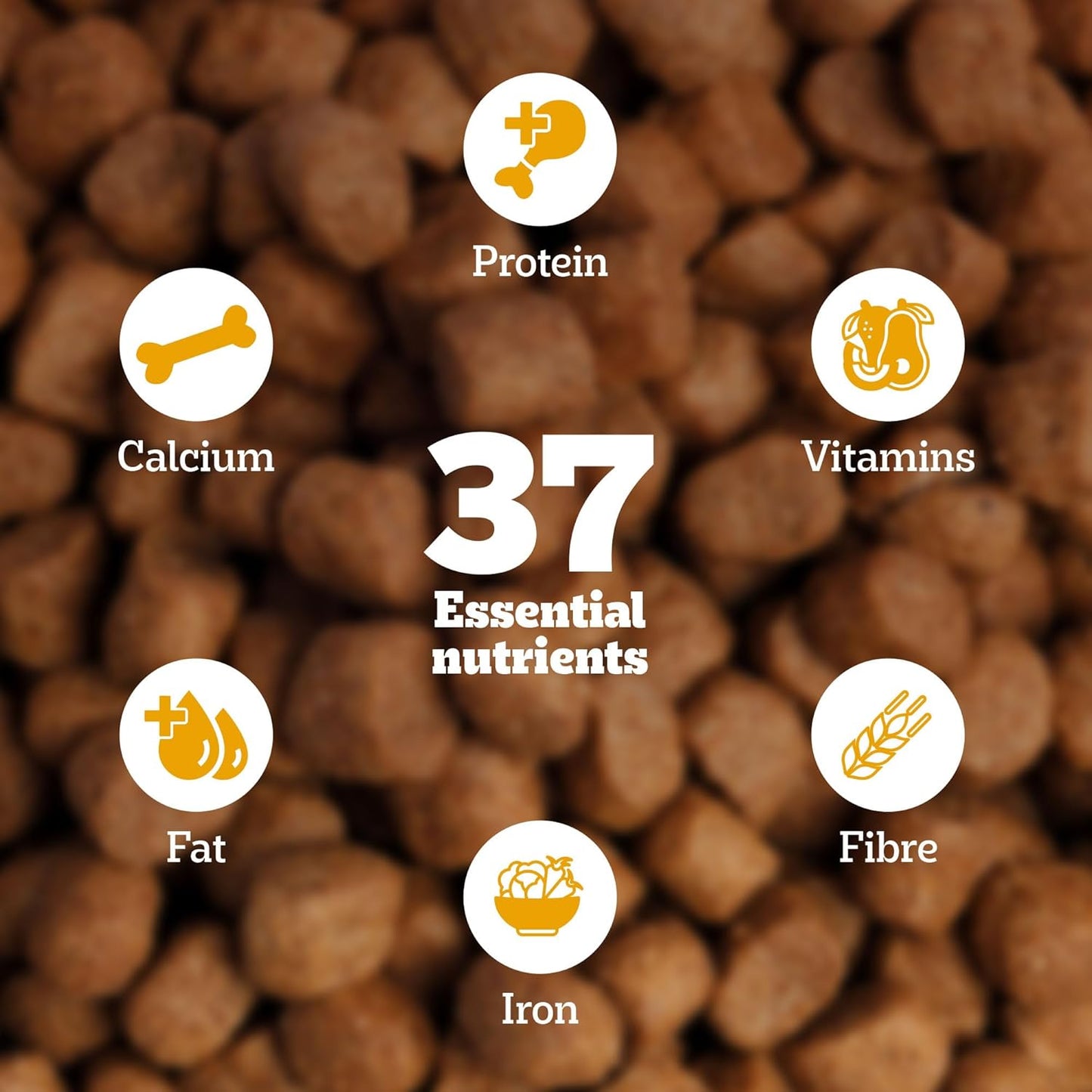 Pedigree Adult Dry Dog Food, Meat & Rice Flavour, 1 KG Pack, Contains 37 Essential Nutrients