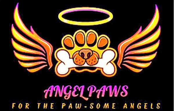 Angel Paws