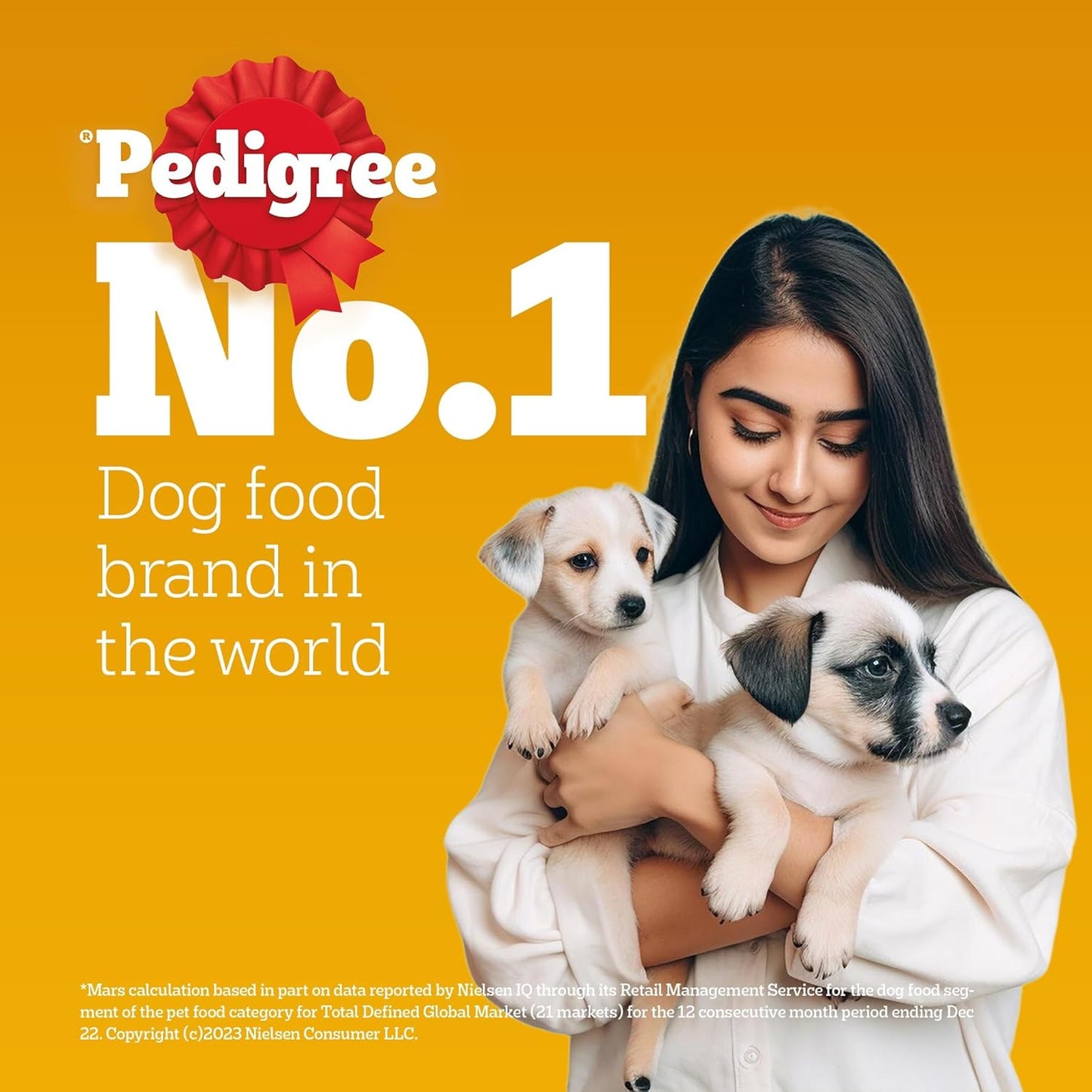 Pedigree Adult Wet Dog Food, Chicken & Liver Chunks in Gravy, 70 GMs