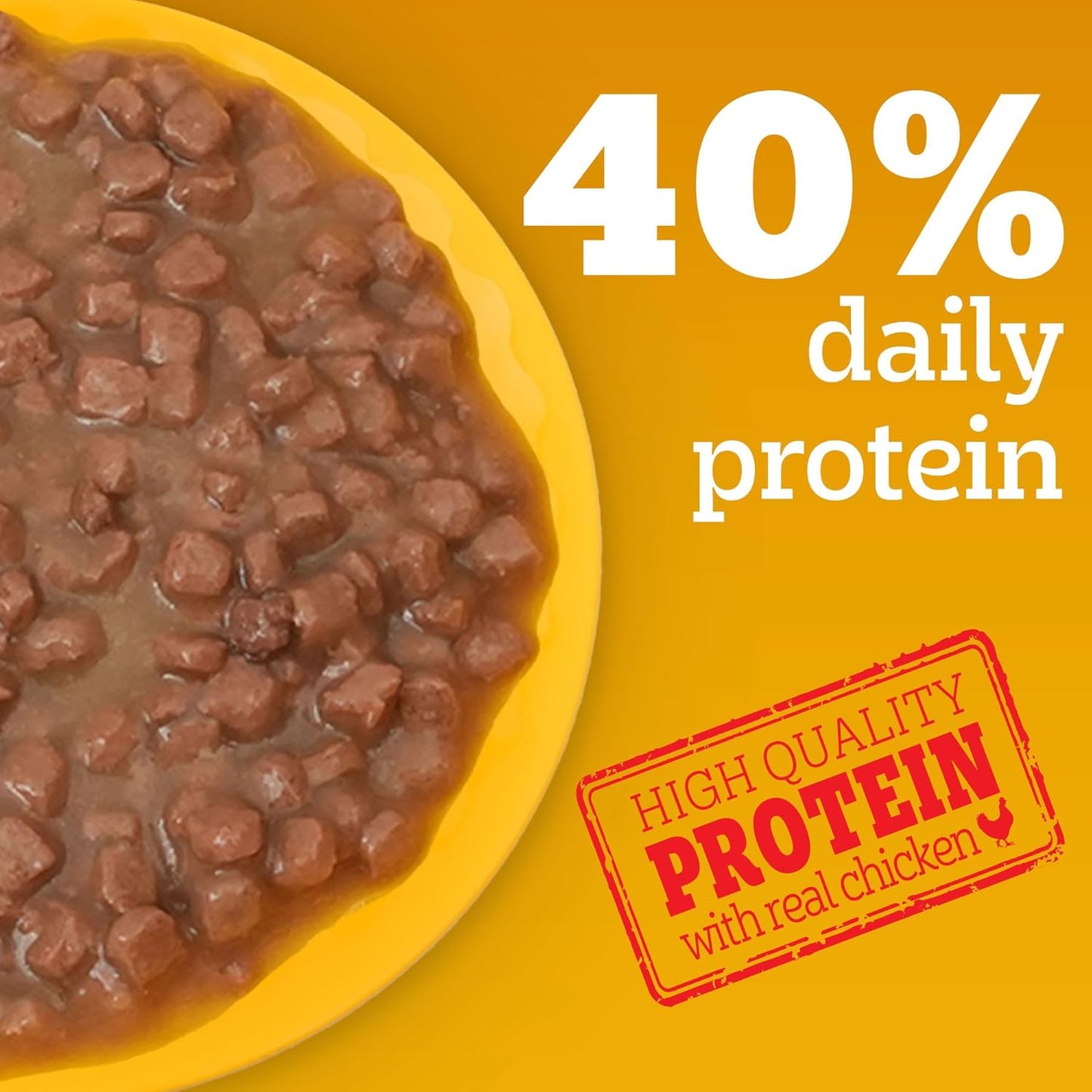 Pedigree Adult Wet Dog Food, Chicken & Liver Chunks in Gravy, 70 GMs