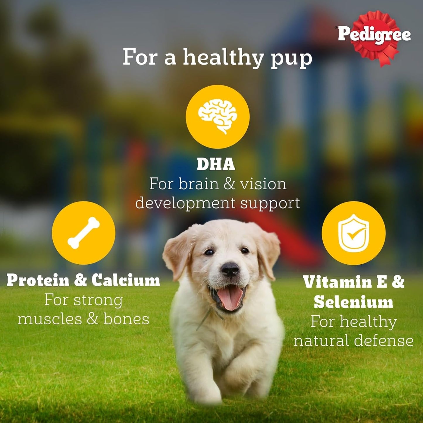 Pedigree Adult Wet Dog Food, Chicken & Liver Chunks in Gravy, 70 GMs