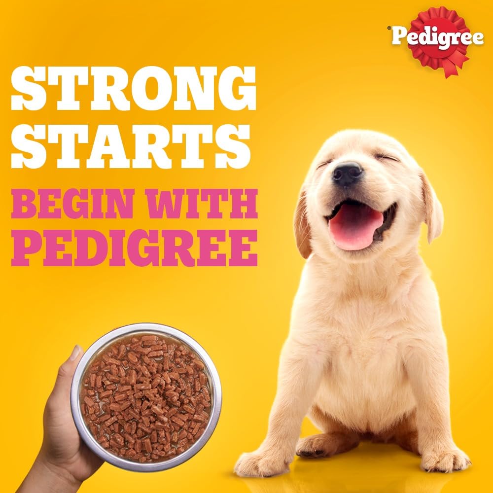 Pedigree Adult Wet Dog Food, Chicken & Liver Chunks in Gravy, 70 GMs