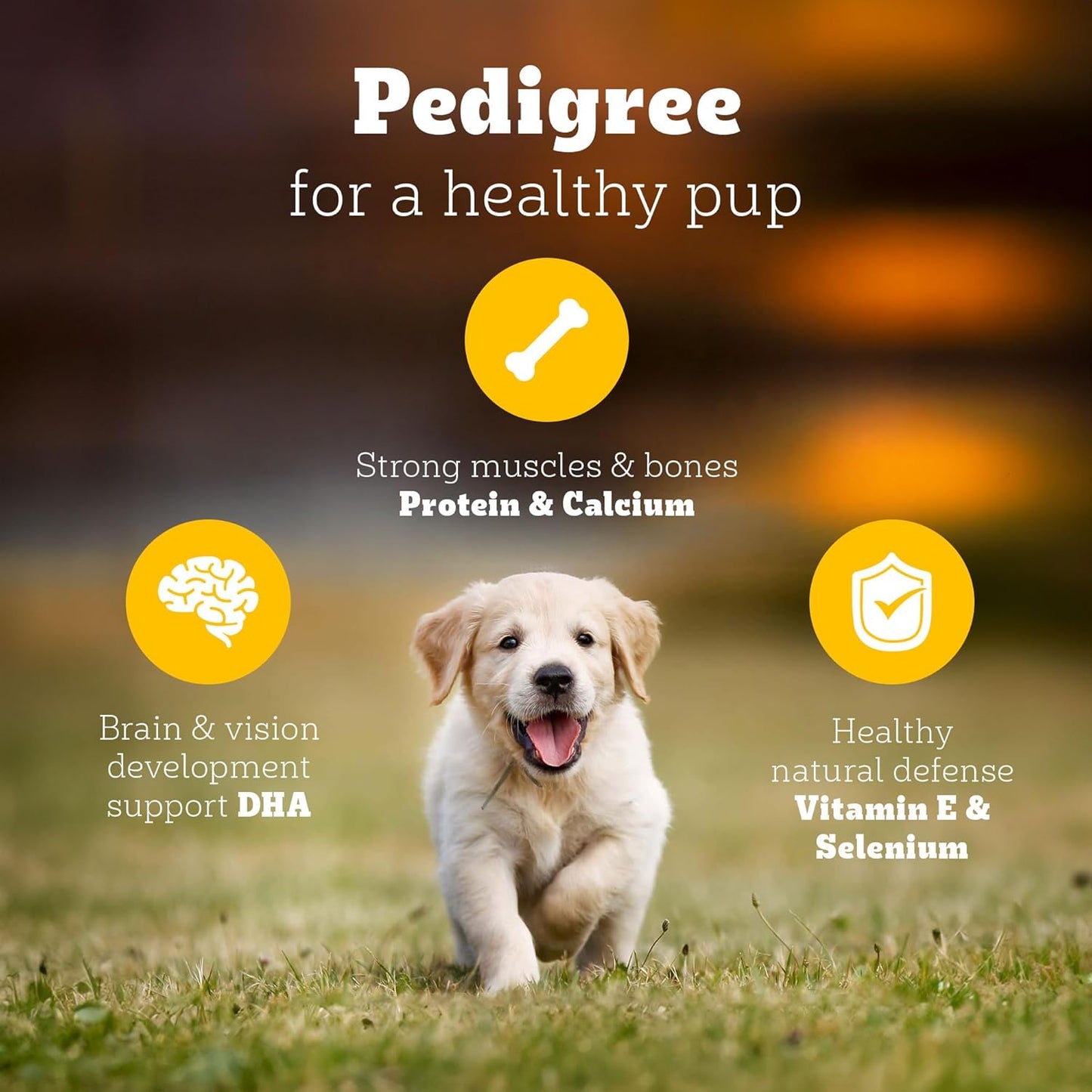 Pedigree Puppy Dry Dog Food, Chicken & Milk, 1 KG Pack, Contains 37 Essential Nutrients