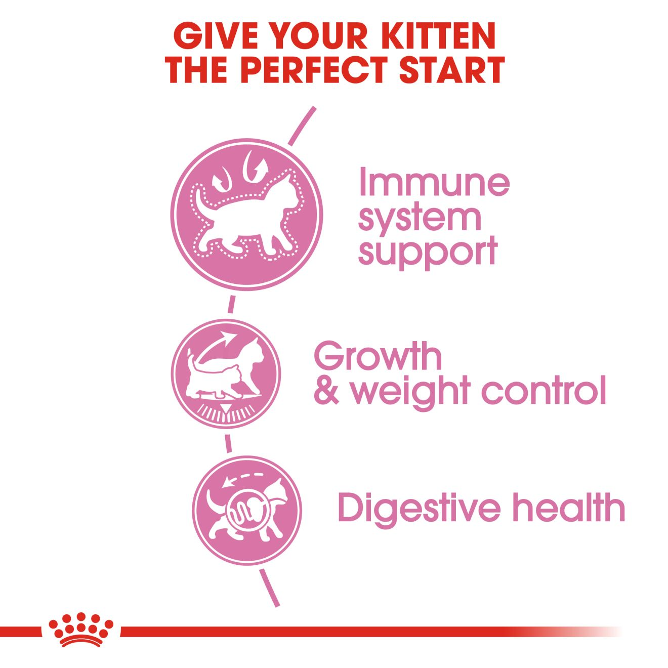Royal Canin Kitten Sterilised Dry Cat food, All Breed Kitten, 2 KG Pack