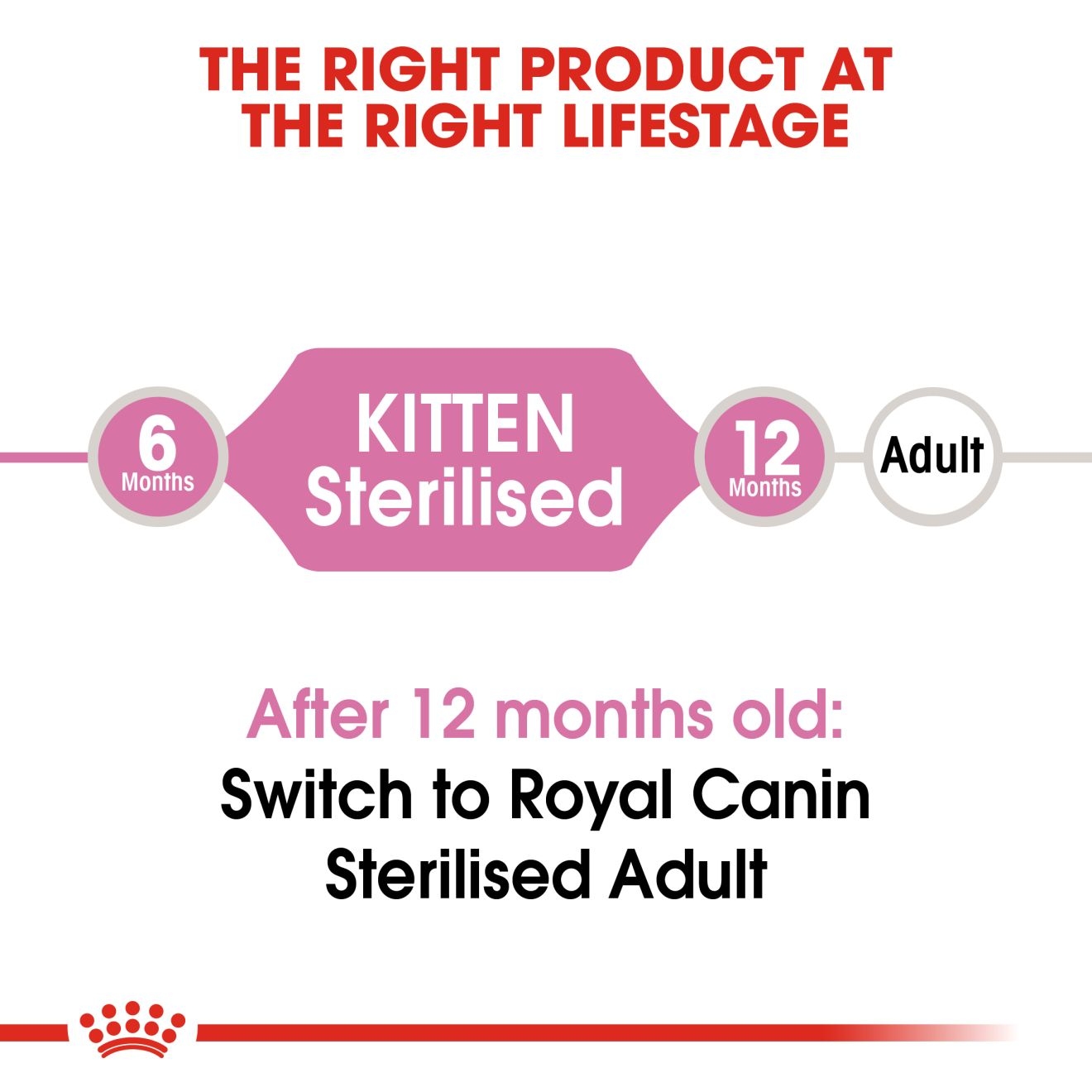 Royal Canin Kitten Sterilised Dry Cat food, All Breed Kitten, 400 GMs Pack