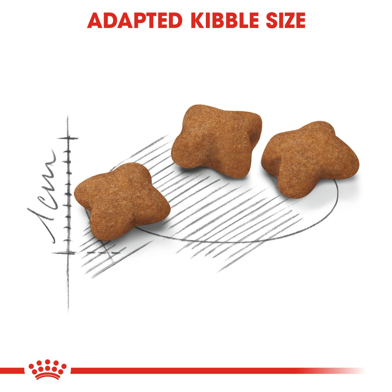 Royal Canin Kitten Sterilised Dry Cat food, All Breed Kitten, 400 GMs Pack